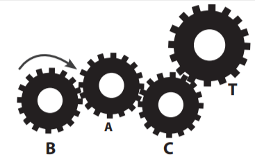 Apa Itu Tes Roda Gila Dalam Psikotes TNI?