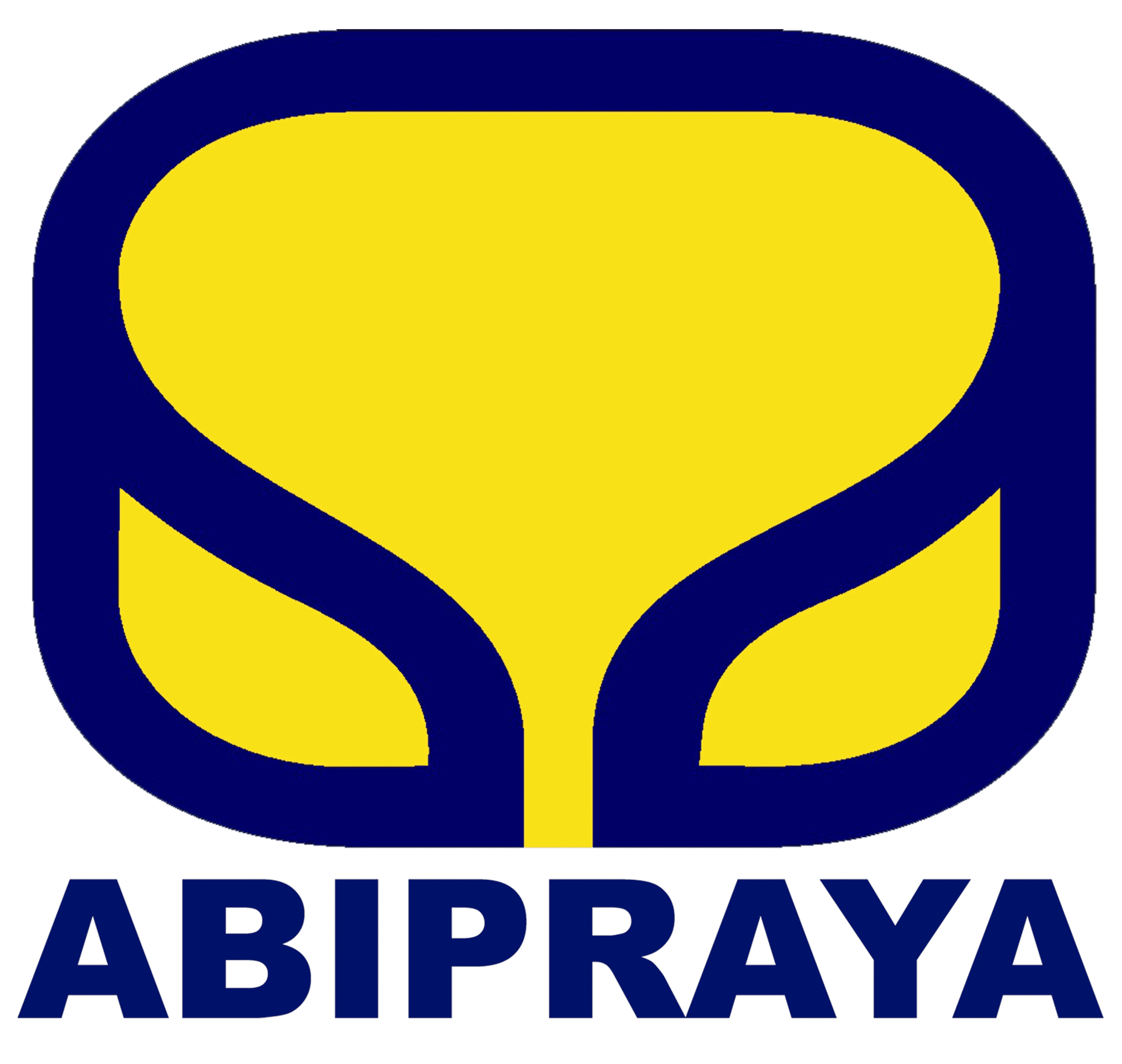 PT Brantas Abipraya (Persero)